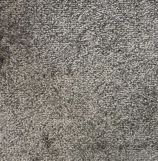 Ковровое покрытие AW Omnia 97 4 м