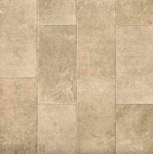 Линолеум Profi Strong Plus VARDO 2