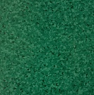 PRIMO PLUS 