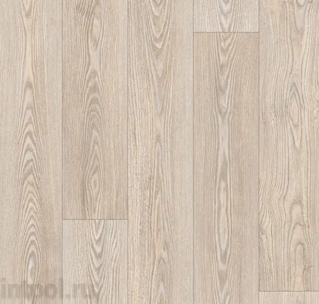 Линолеум Profi Master GLOSTER 3