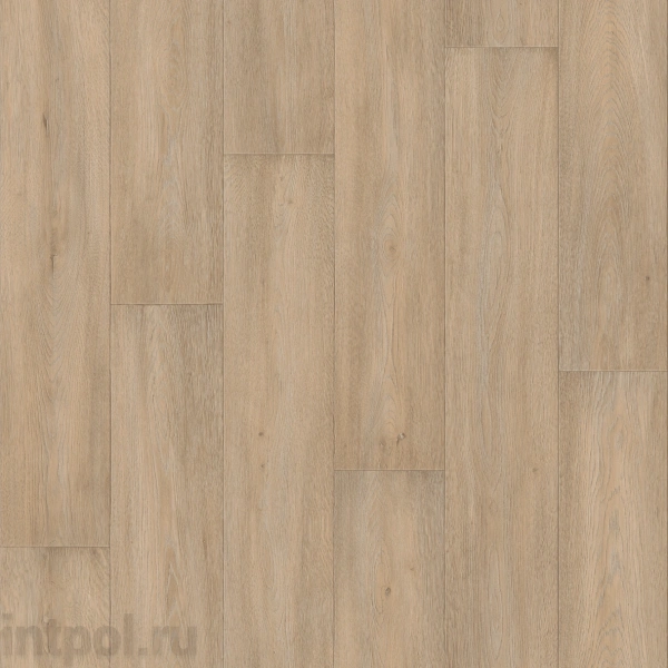 Линолеум Tarkett Sprint Pro HISTORY 2*