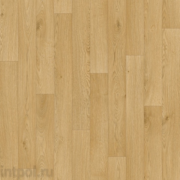 Profi Premium TFALCO 2