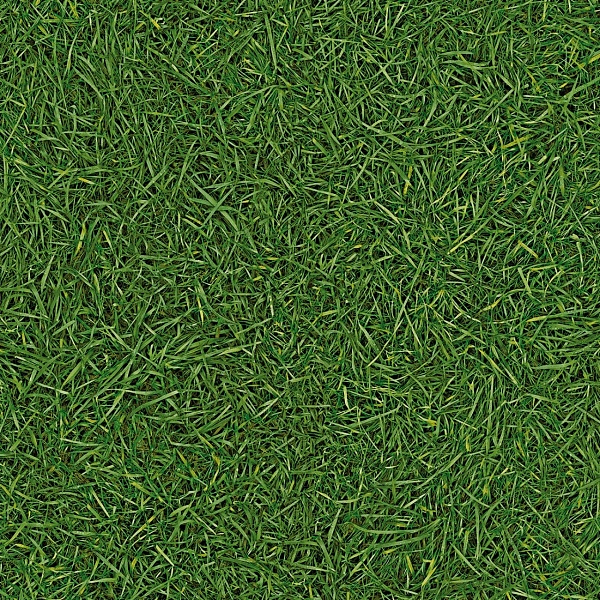 Линолеум IVC Centra Grass T25