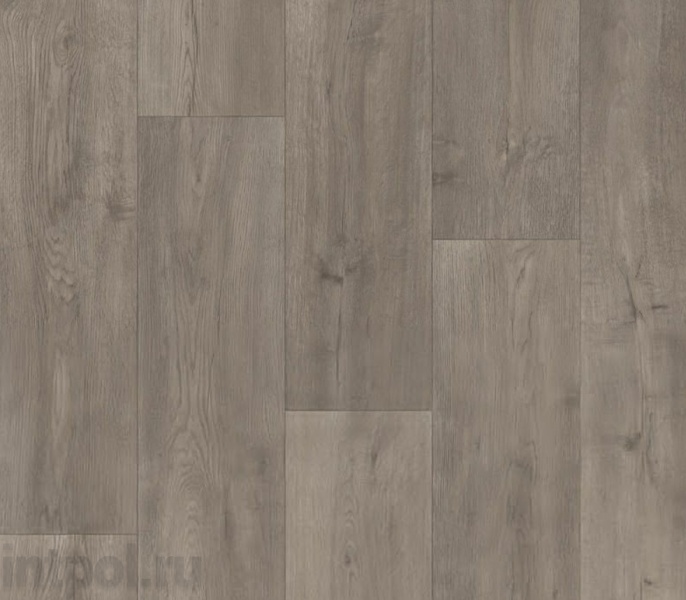 Линолеум Tarkett Admiral Danmor 2