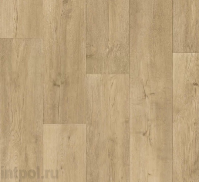 Линолеум Tarkett Admiral Danmor 1