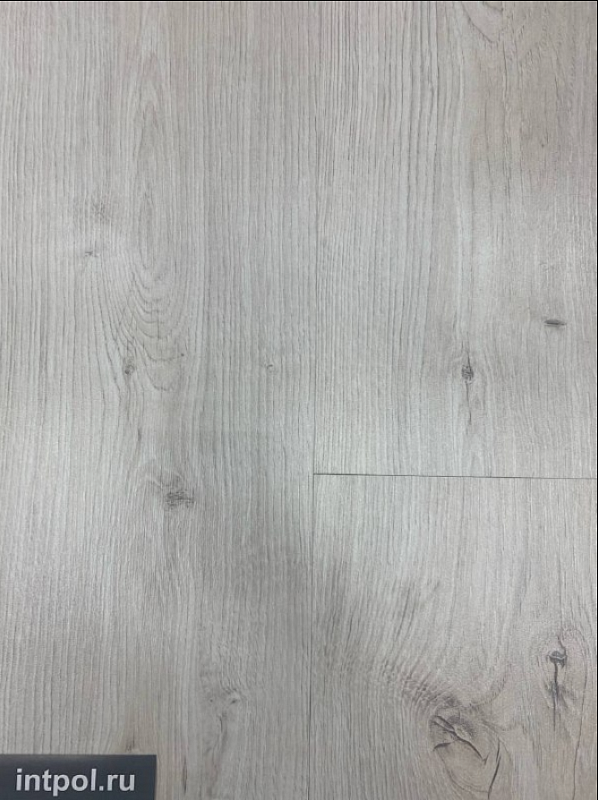 Ламинат Kastamonu Grey FP 469 Лемонграсс