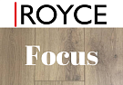 Royce Focus